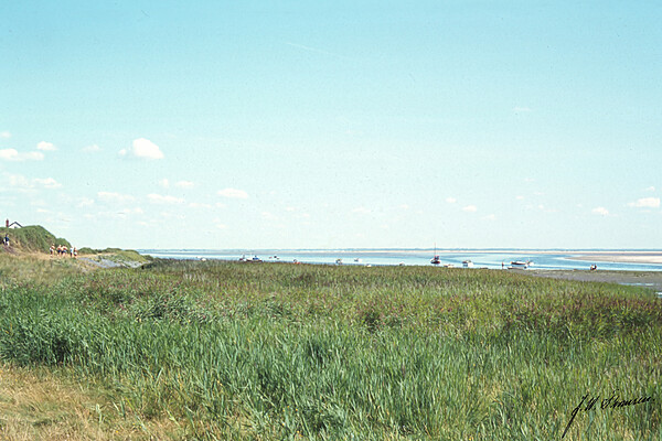 S&oslash;nderho havn