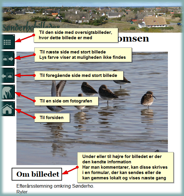 Hjælp til stort billede
